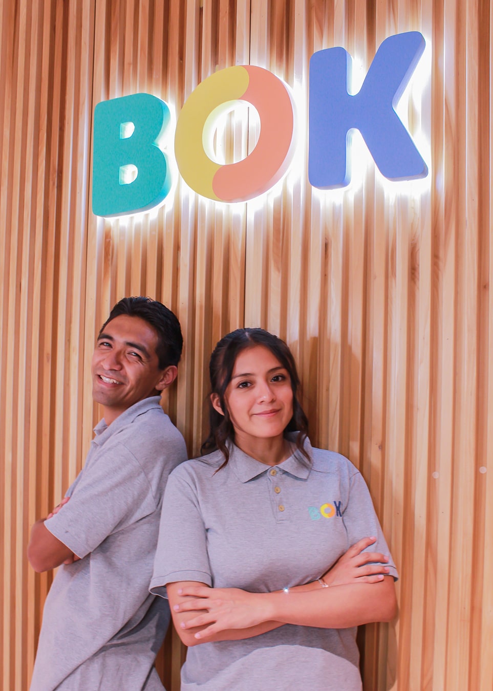 Bok Ludoteka